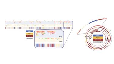 Bespoke data analysis visualization tools that plug into the BioPharma Finder software