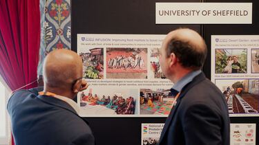 Professor Bhavani Shankar