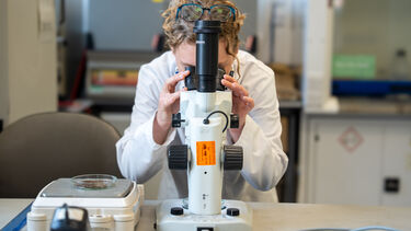 Students analysing water samples using a microscope