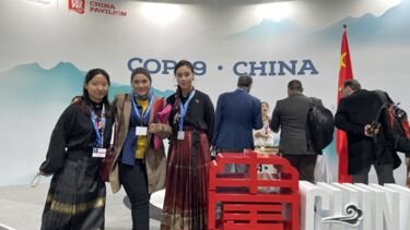 Group of women at COP29