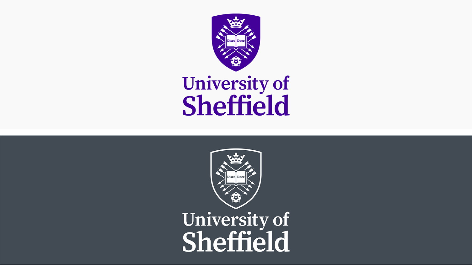 The University's secondary logo
