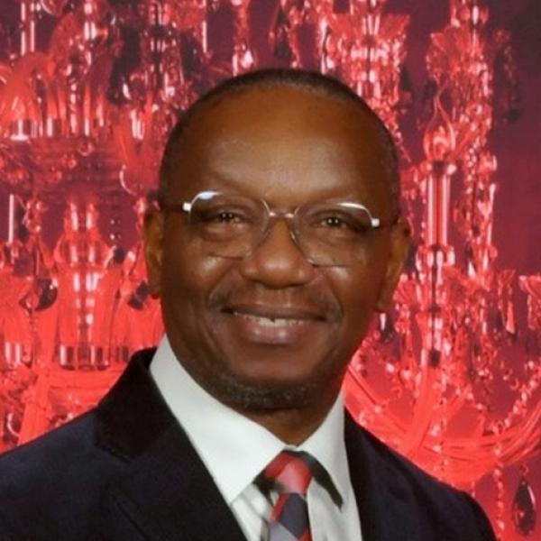 Profile picture of Professor Dilly Anumba