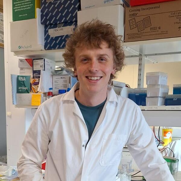 Profile picture of Tobias Moll