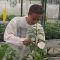 Gabriel checks plants in the controlled environment facility