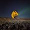 Image of IR & Politics student crouched in front of the Northern Lights in Sweden