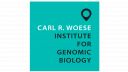 Carl R Woese Institute for Genomic Biology logo