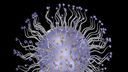mesoporous silica nanoparticles for controlled drug release 3d rendering