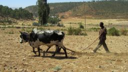 CBE Ethiopia farmer 