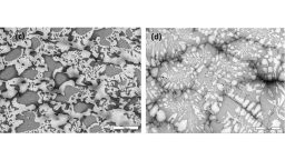 Microstructures of niobium silicide ultra-high temperature alloys