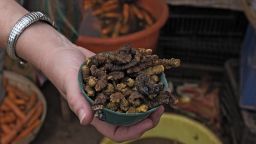 A bowl of roasted mopane caterpillar at a market in Zimbabwe