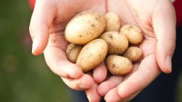 Photo of hands holding potatoes