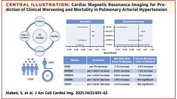 Cardiac Magnetic Resonance Imaging figure 