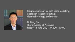 INSIGNEO Insigneo Seminar Title Peng Du
