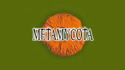 "METAMYCOTA"