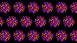 Chloroplasts imaged by SIM