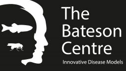The Bateson Centre Logo