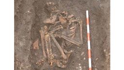 A photo of skeleton SK3870 on site at the excavations at York Barbican. Credit: On Site Archaeology.