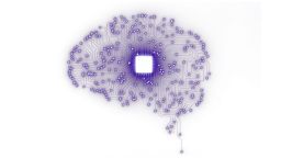 brain depicted with data