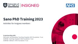 INSIGNEO Sano PhD Training 2023 graphic