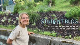 Blog by MLA Landscape Architecture student Elise