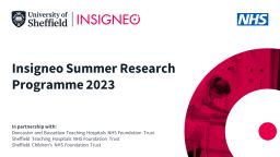 Image graphic: Insigneo, University of Sheffield and NHS logos with title: Insigneo summer reseasrch programme 2023