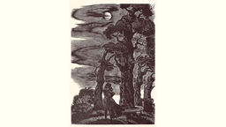 Drawn silhouettes of two people embracing, standing among some tall trees in moonlight