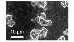 A microscopic image of a crystal structure