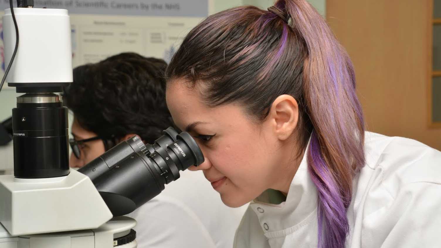 Thumbnail for Molecular Biology and Biotechnology MSc | 2025 | Postgraduate