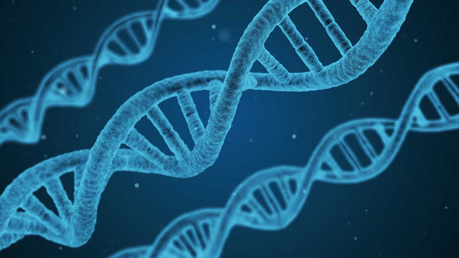 Thumbnail for Study uncovers key step in cell protein production | Biosciences 