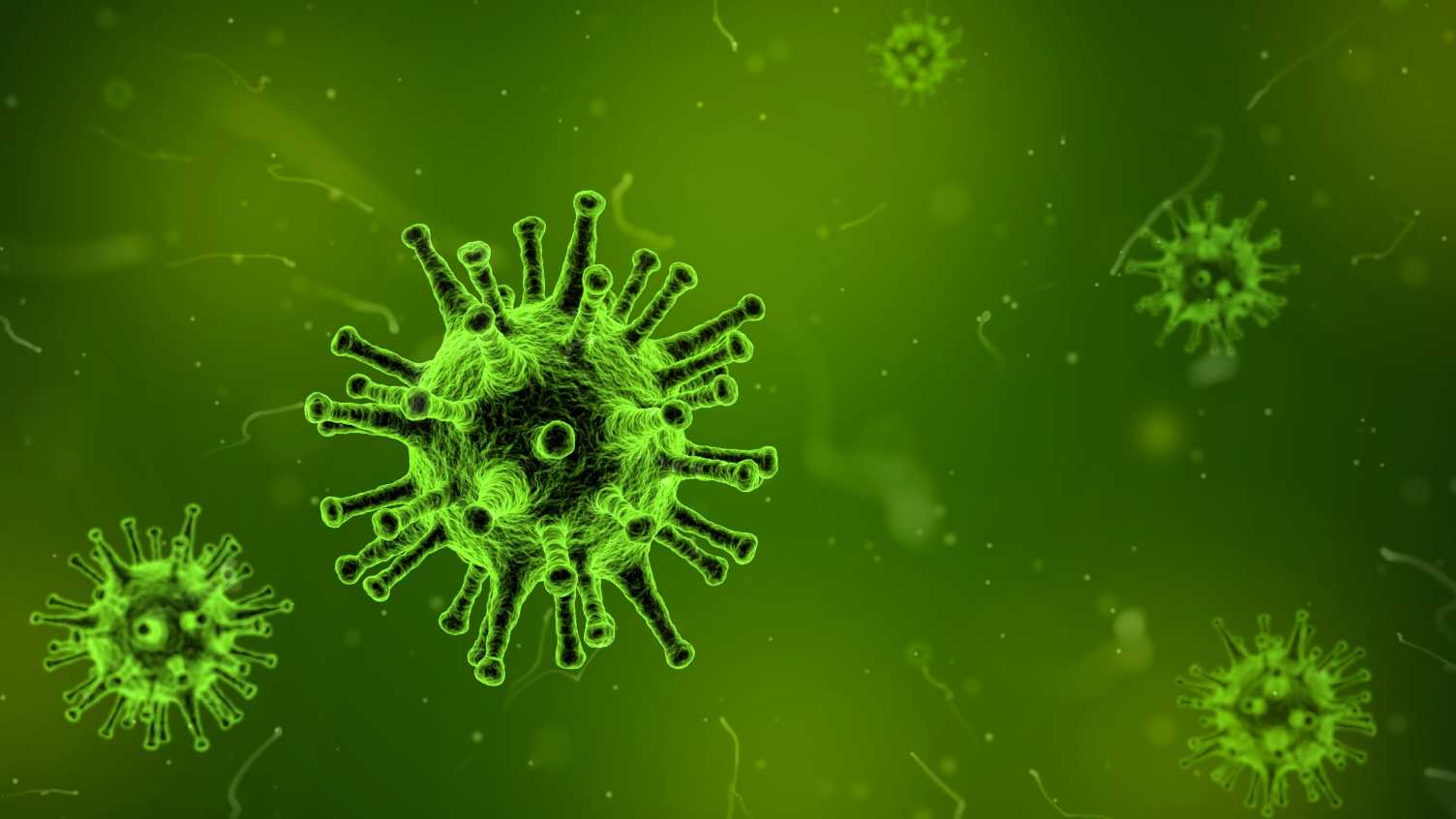Thumbnail for Fighting biofilms | CMBE 