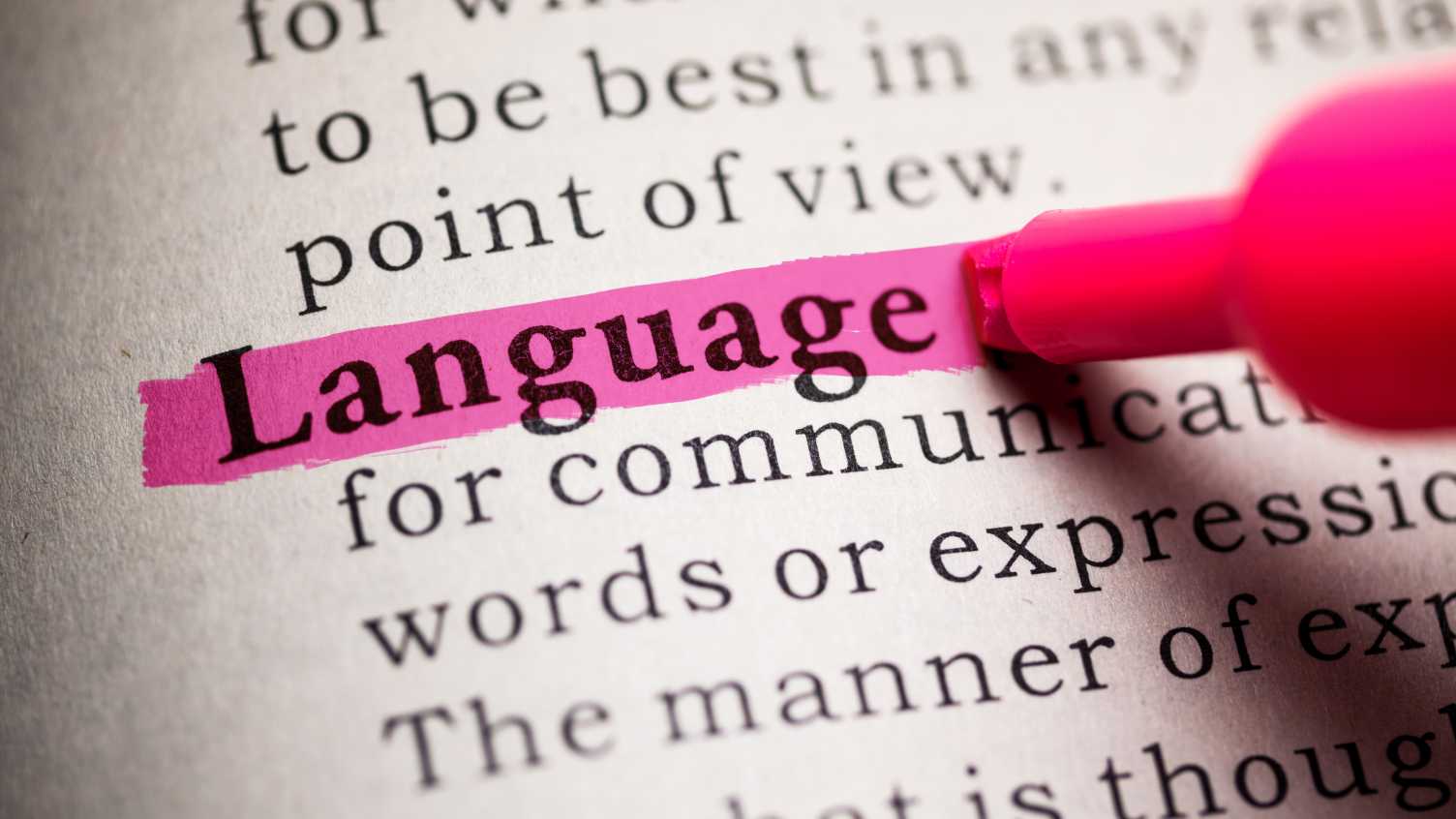 Thumbnail for Language and Society | English 