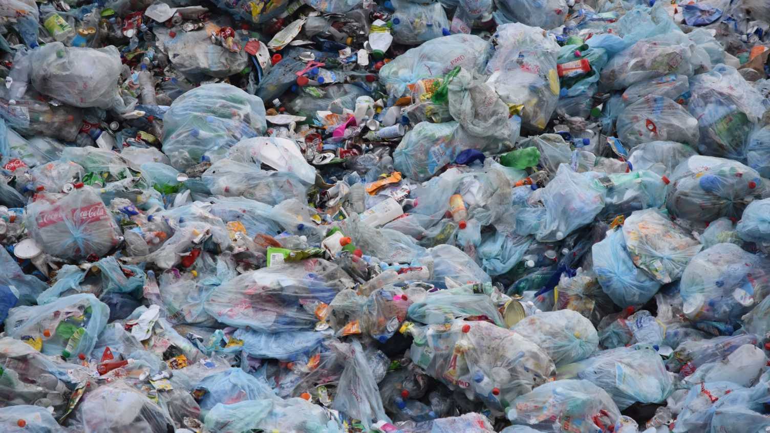 Thumbnail for University of Sheffield researchers join forces to tackle plastic waste | CBE