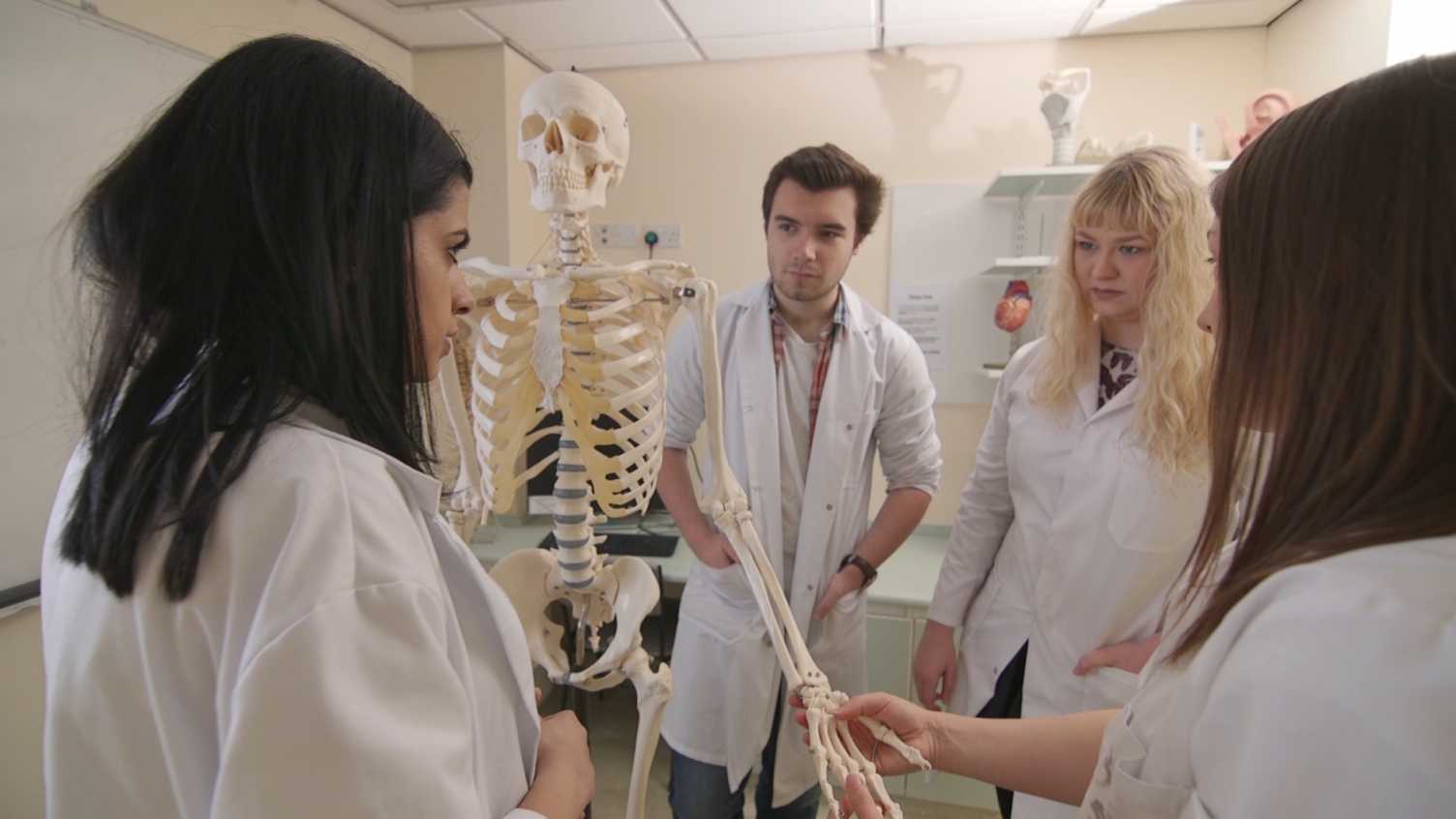 Thumbnail for Biomedical Science projects | Medicine and Population Health 