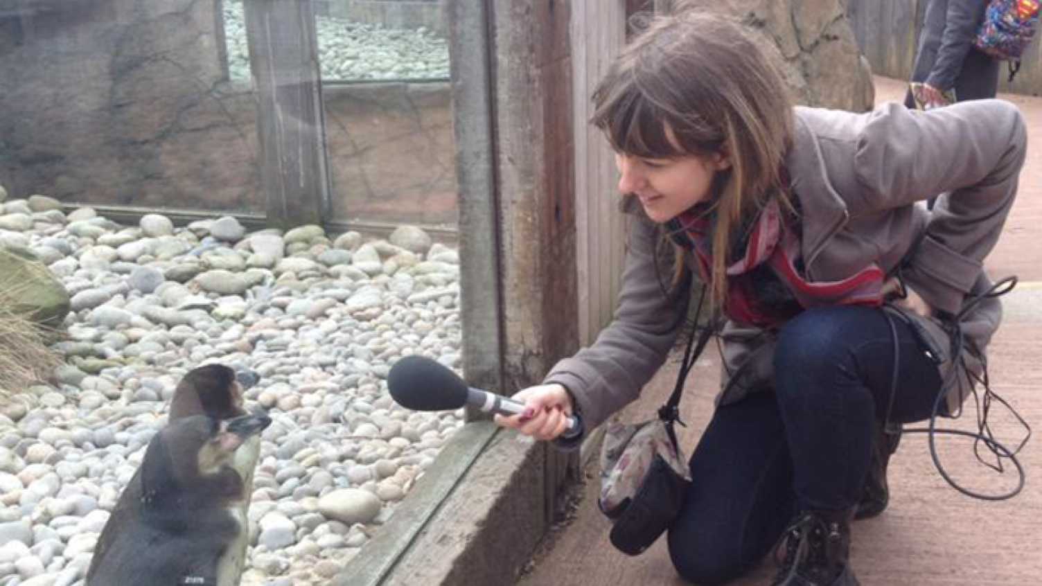 Thumbnail for From Zoology to science communication at Cambridge University | Biosciences 