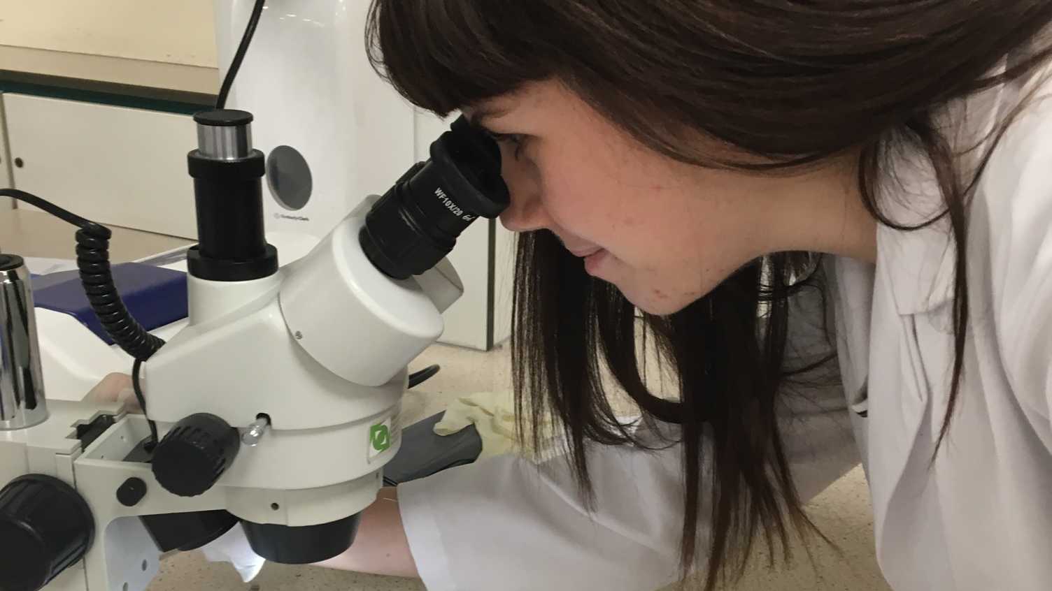 Thumbnail for My course helped me secure a role in Dr Anestis Tsakiridis’ laboratory as a re…