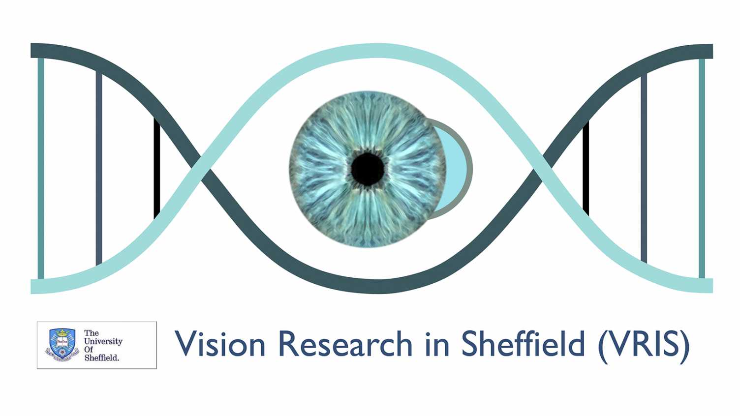 Thumbnail for Assessment of Vision and Eye Movement | Allied Health Professions, Nursing and M…