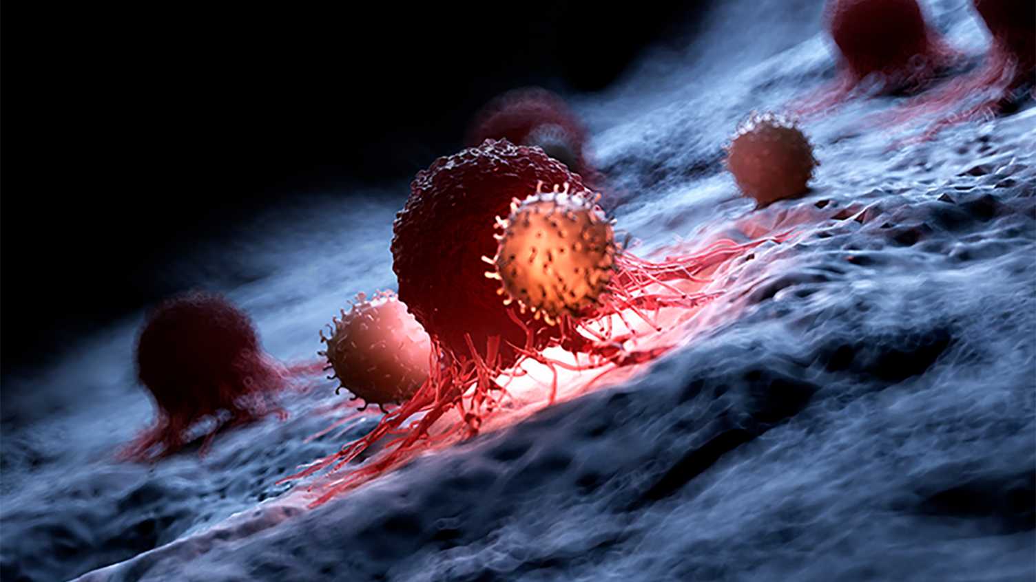 Thumbnail for University of Sheffield cancer researcher named among Nation’s Lifesavers | Me…