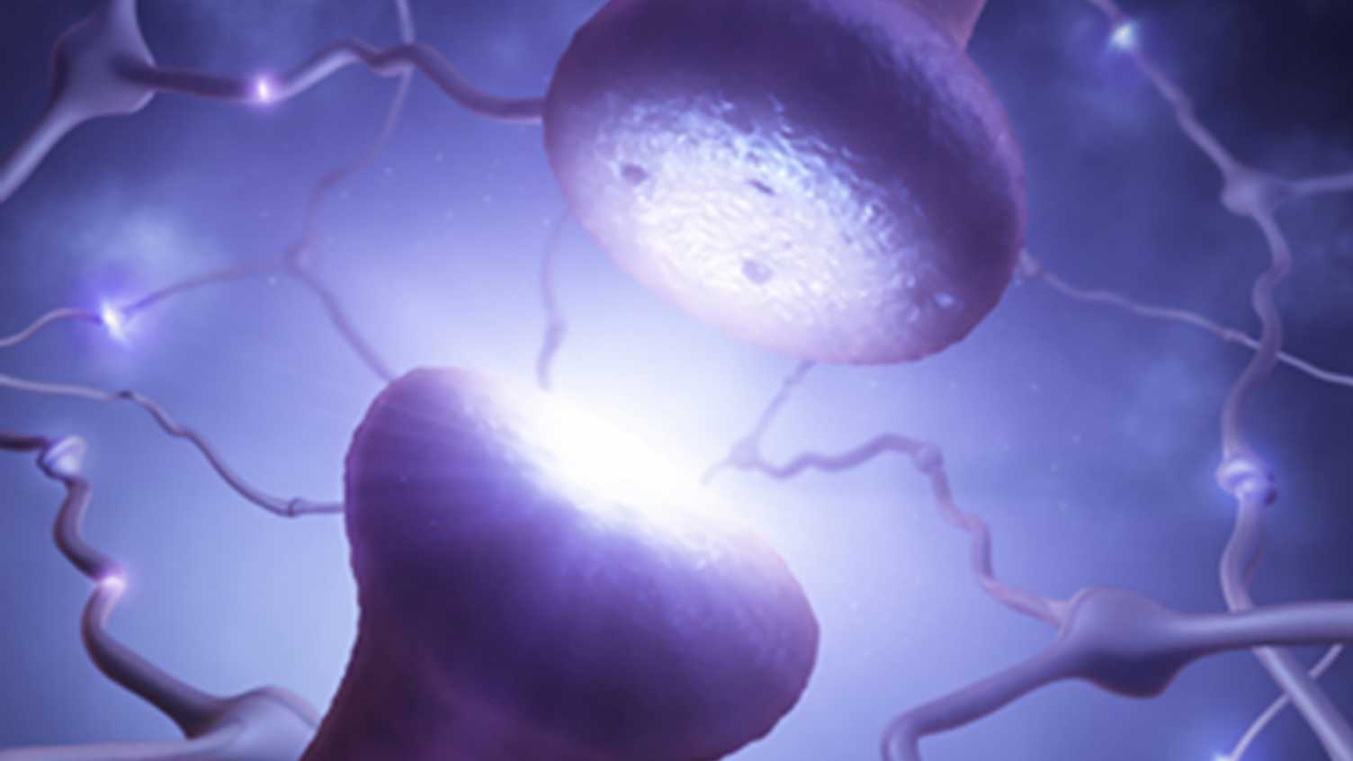 Thumbnail for SITraN secures industry partnership to accelerate novel treatments for Parkinson…