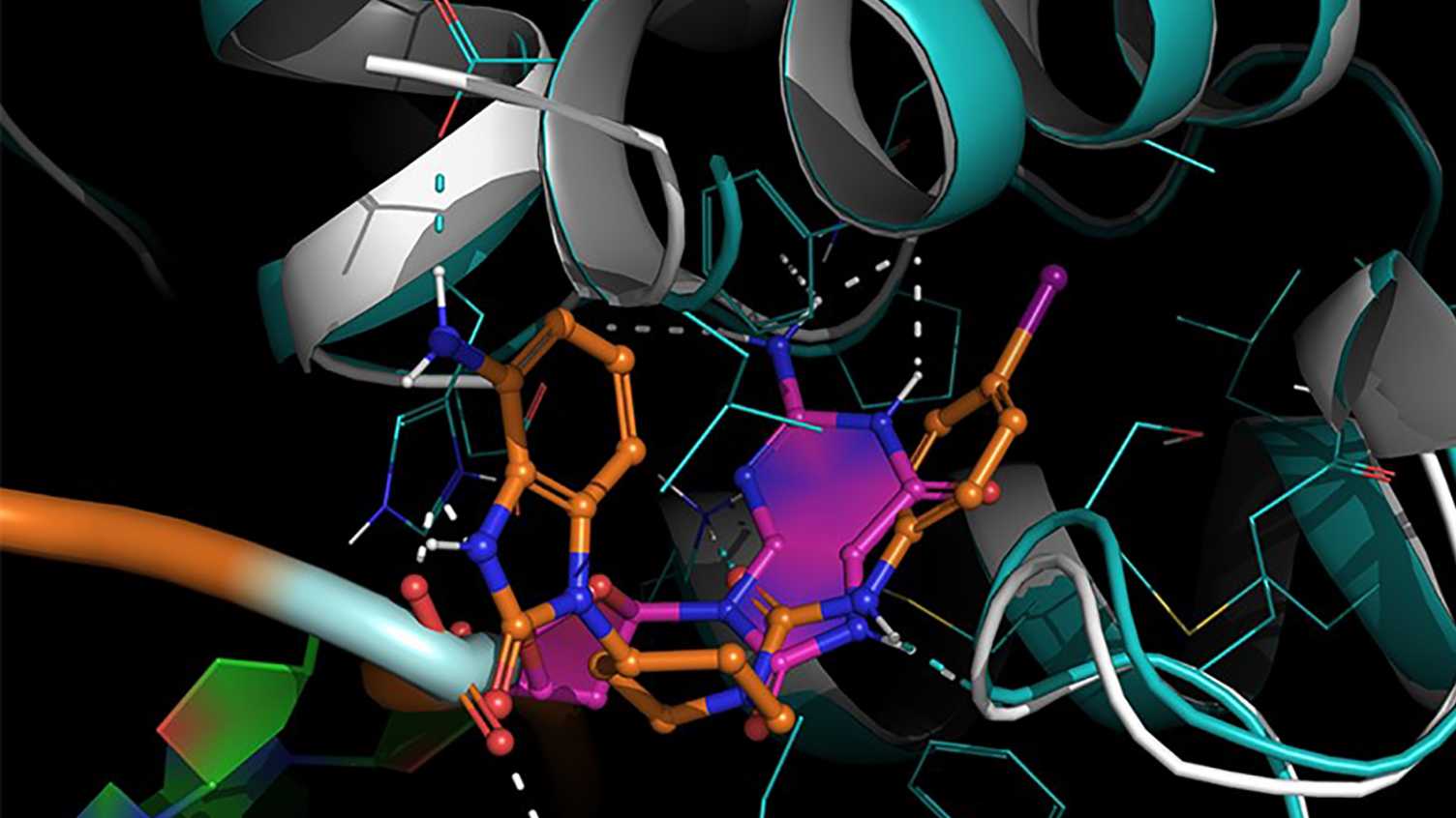 Thumbnail for Inhibitor of oxidative DNA repair presents with a new concept for treatment of i…