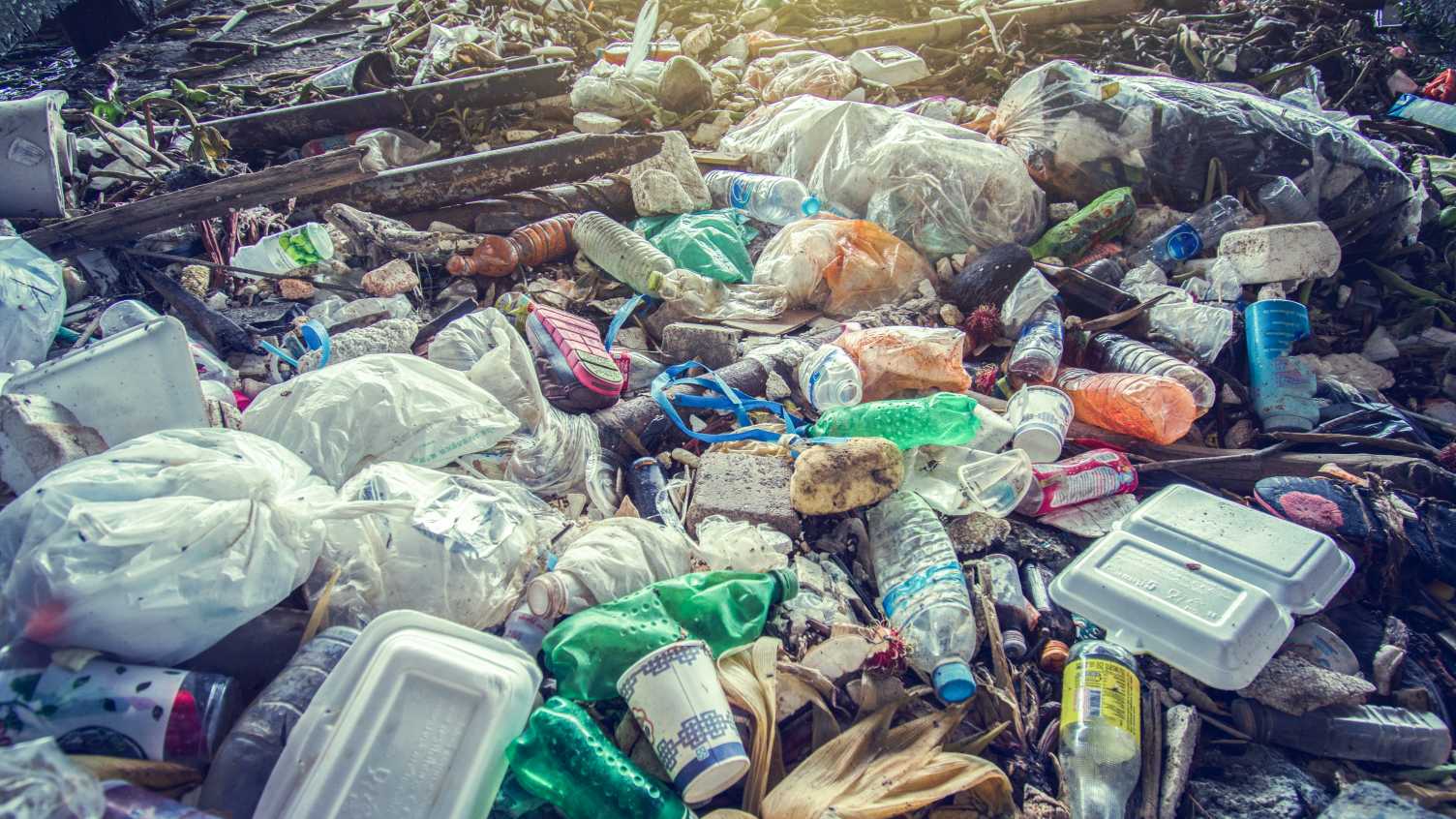 Thumbnail for University of Sheffield researchers join forces to tackle plastic waste | Chemis…