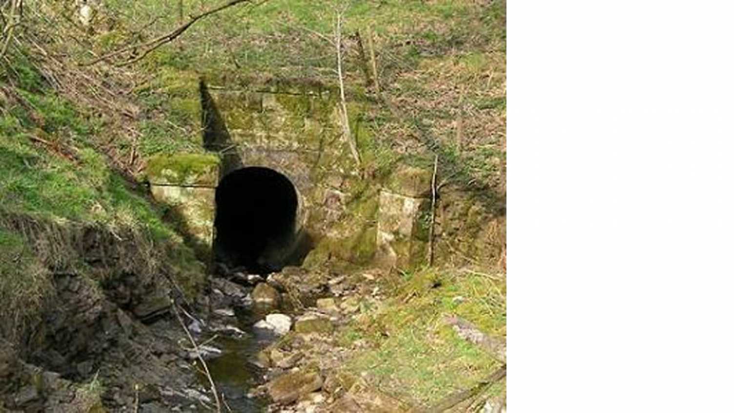 Thumbnail for Ecological impacts of culverts on benthic invertebrates: Habitat fragmentation a…