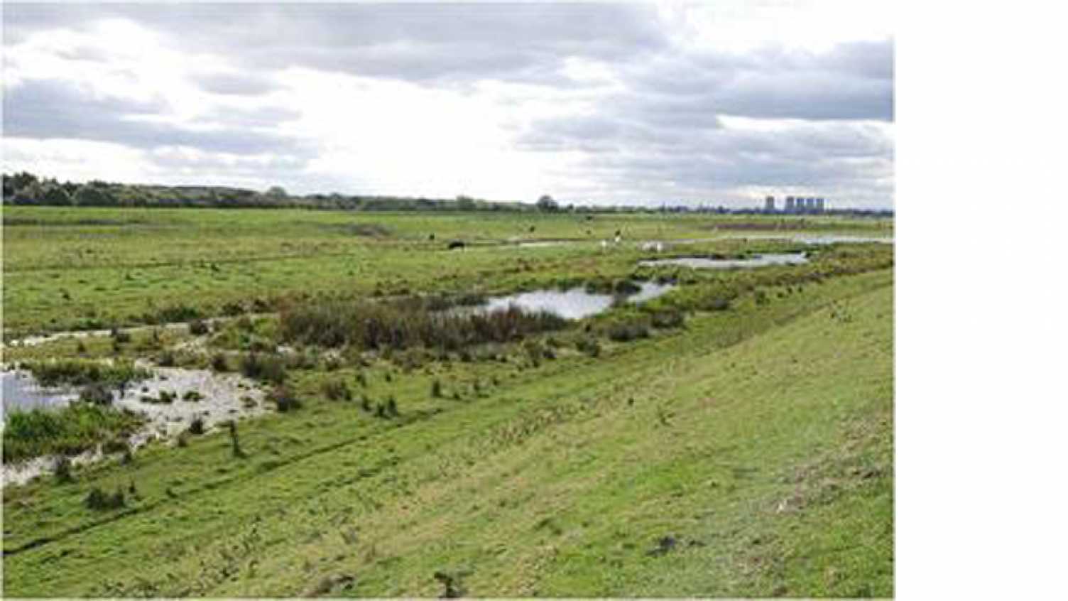 Thumbnail for Wetland restoration at Fishlake | Don catchment 