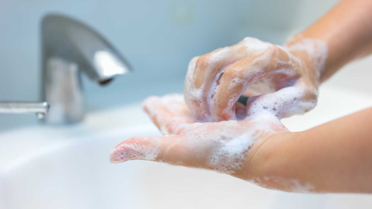 Thumbnail for Gentle cleansers kill viruses as effectively as harsh soaps, study finds  | New…