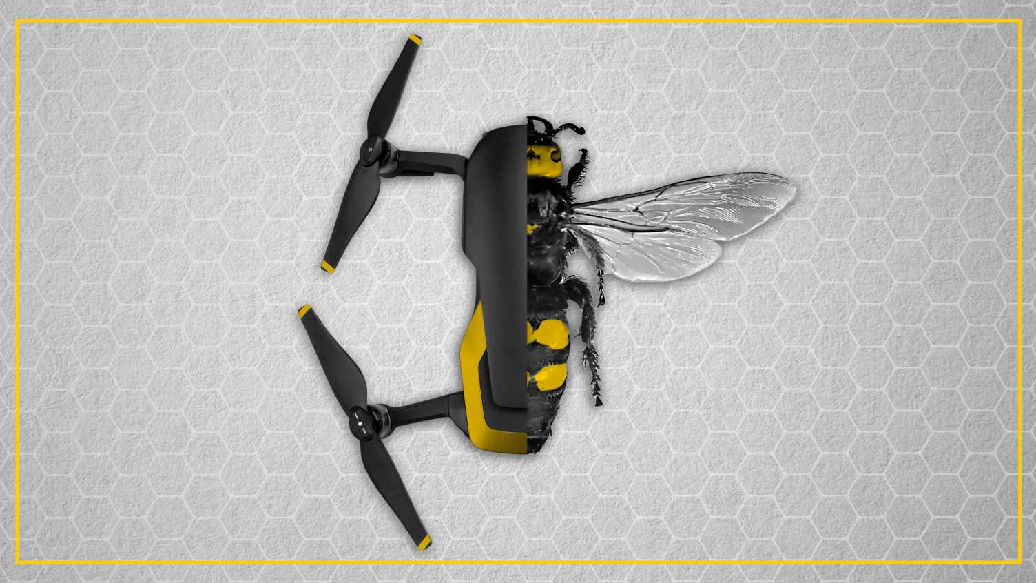 Thumbnail for Revolutionising autonomous technology with the brain of a bee | Neuroscience Ins…