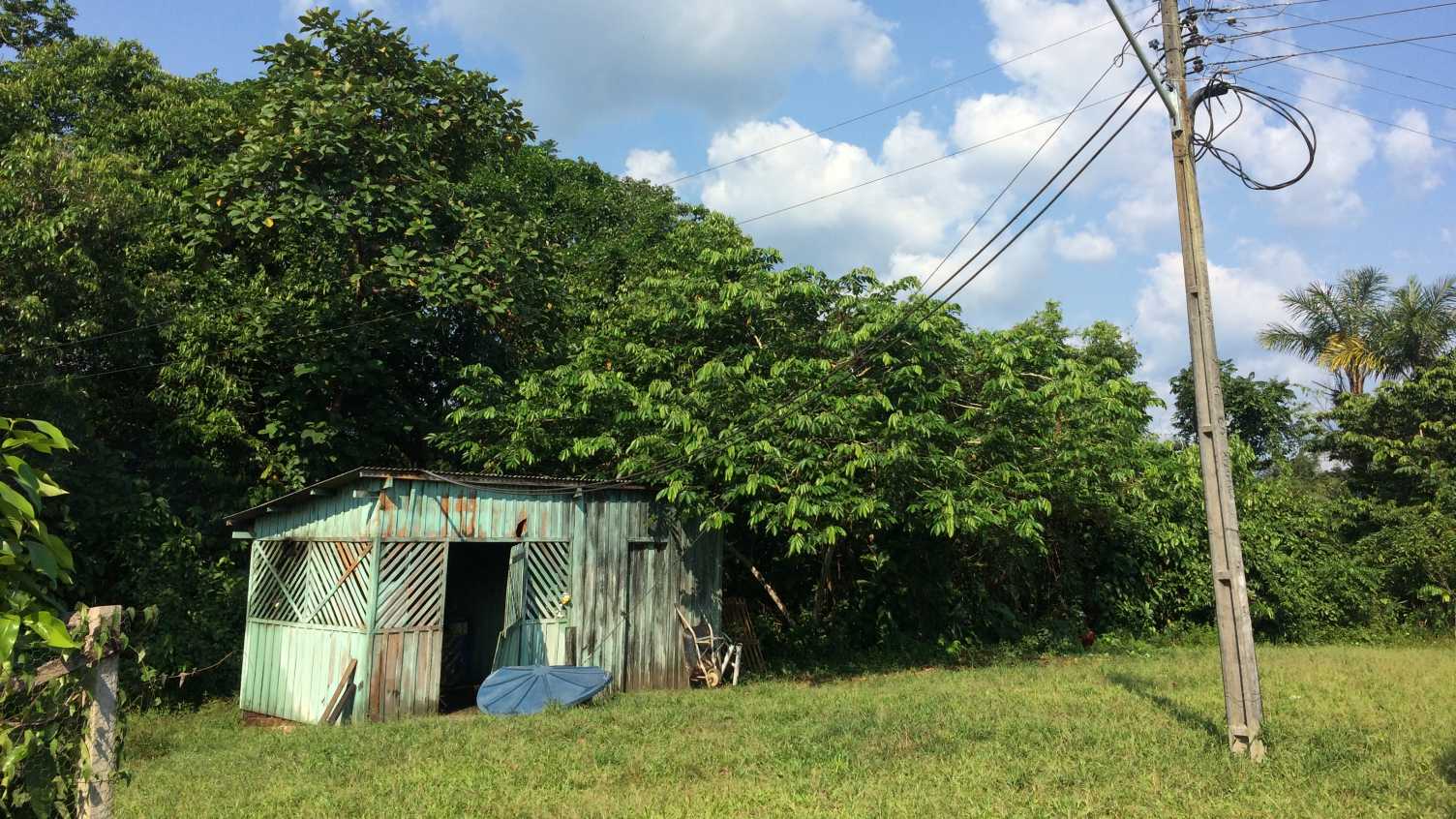 Thumbnail for New renewable energy microgrids can bring sustainable electricity to rural Amazo…