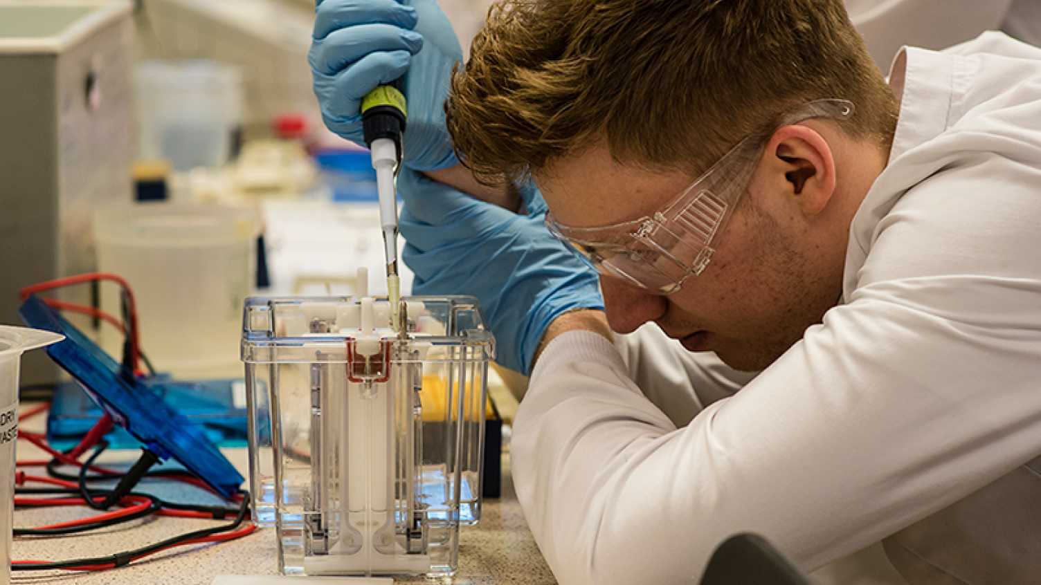 Thumbnail for What can I do with a molecular biosciences degree? | Biosciences 