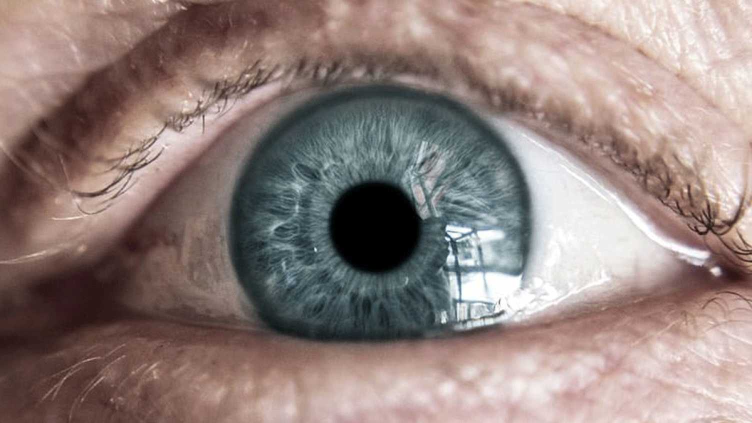 Thumbnail for Covid-19 and vision impairment in Britain: a narrative of absence | iHuman 