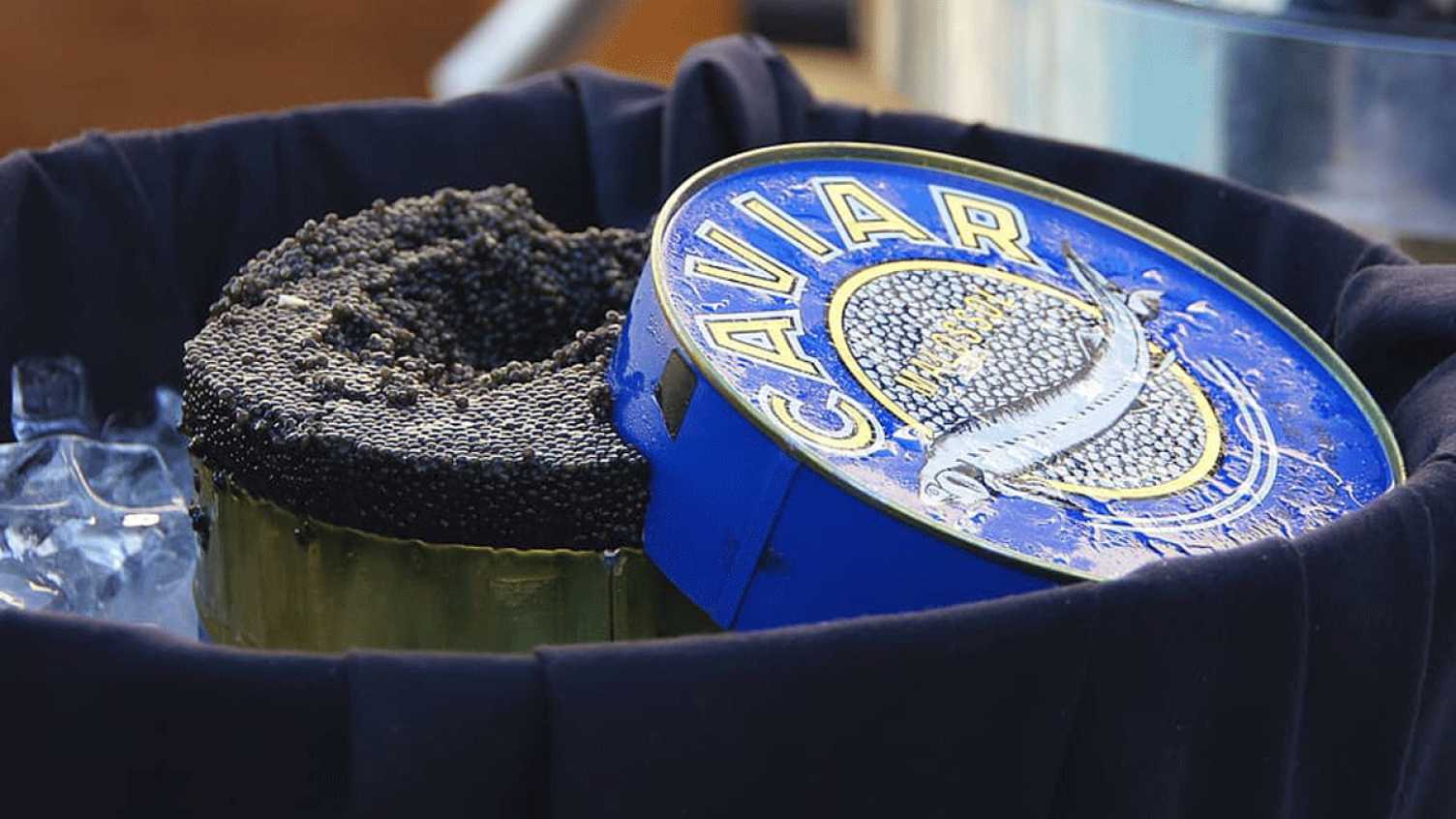 Thumbnail for The ambiguous conservation benefits of caviar | Faculty of Social Sciences 
