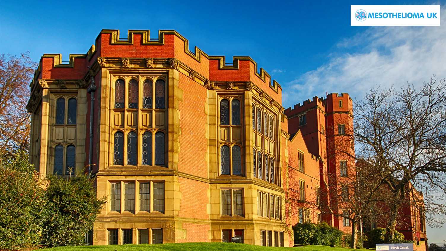 Mesothelioma UK Research Centre MURC The University of Sheffield