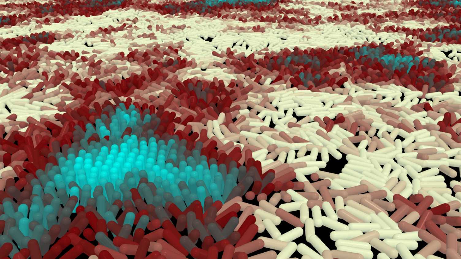 Thumbnail for The tortoise and hare: how moving slower allows groups of bacteria to spread acr…